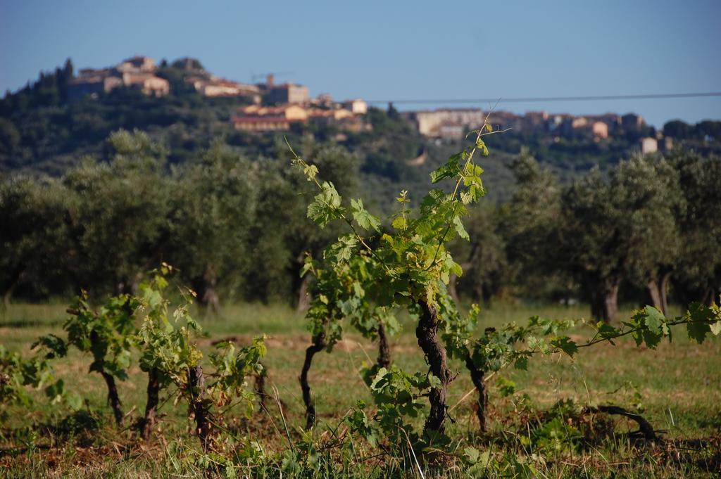 Agriturismo Quattro Pini 카스타니에토카르두치 외부 사진