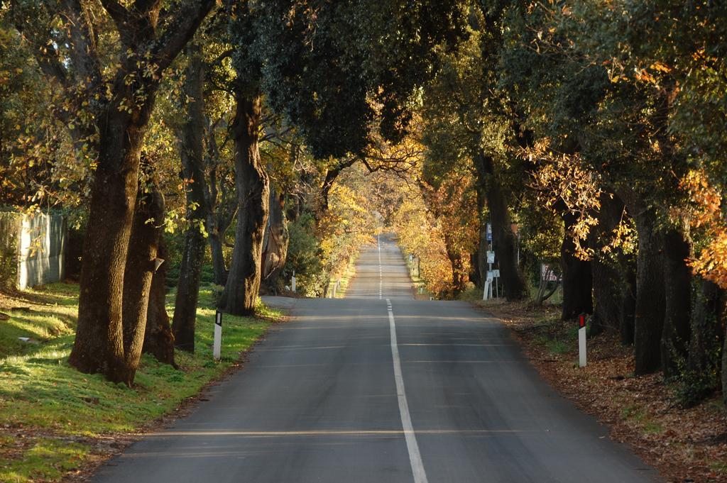 Agriturismo Quattro Pini 카스타니에토카르두치 외부 사진