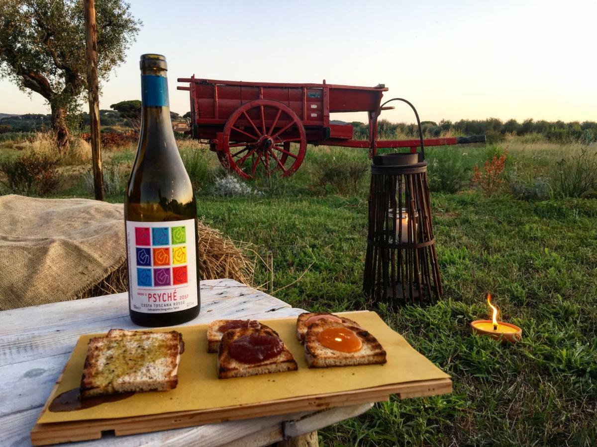 Agriturismo Quattro Pini 카스타니에토카르두치 외부 사진